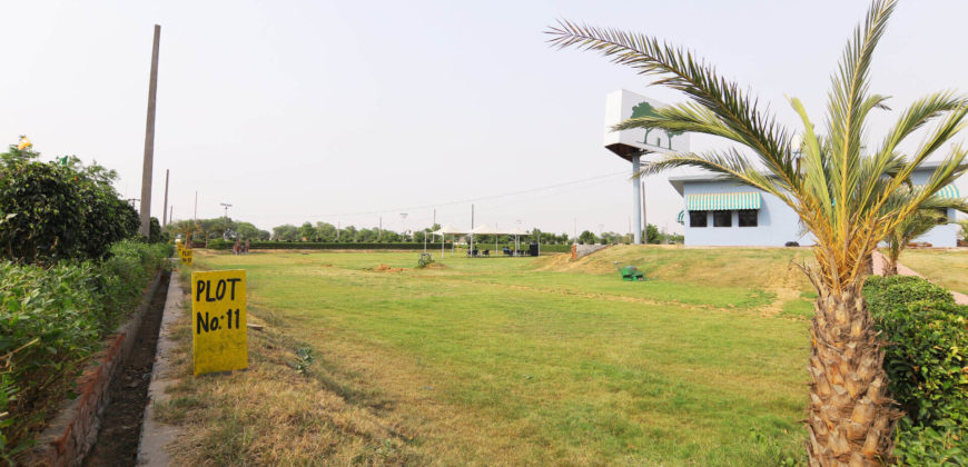 Residential Plots for Sale Near Jewar/Noida Int. Airport at Yamuna Expressway